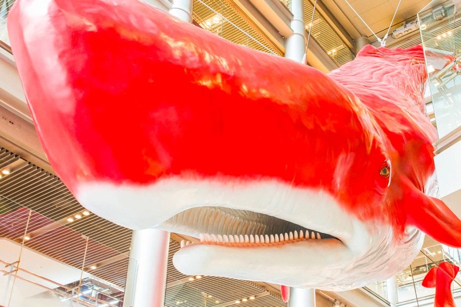 🎡 헵 파이브 이미지 9